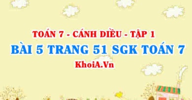 Bài 5 trang 51 SGK Toán 7 tập 1 Cánh Diều